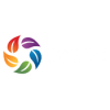 Sezon Grup Sezon Grup